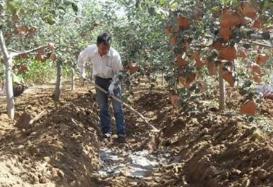 ��ũ�ؿ������ʹ�������ôʩ�ʵ�